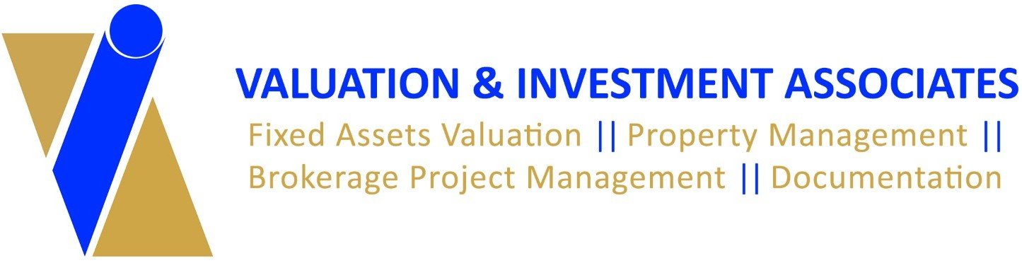 Valuation and Investment Associates logo